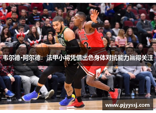 韦尔德·阿尔德：法甲小将凭借出色身体对抗能力赢得关注