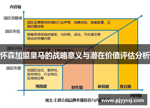 怀森加盟皇马的战略意义与潜在价值评估分析
