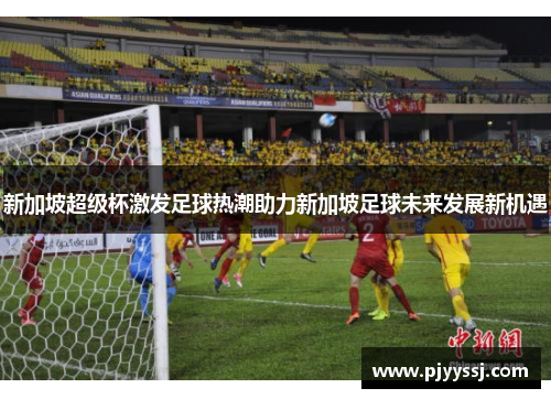 新加坡超级杯激发足球热潮助力新加坡足球未来发展新机遇