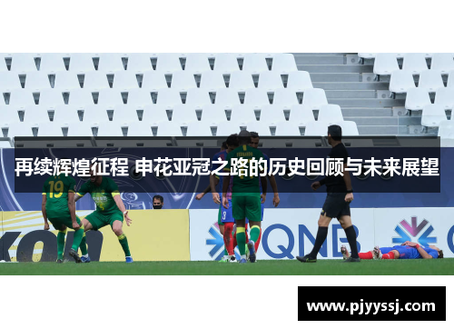 再续辉煌征程 申花亚冠之路的历史回顾与未来展望