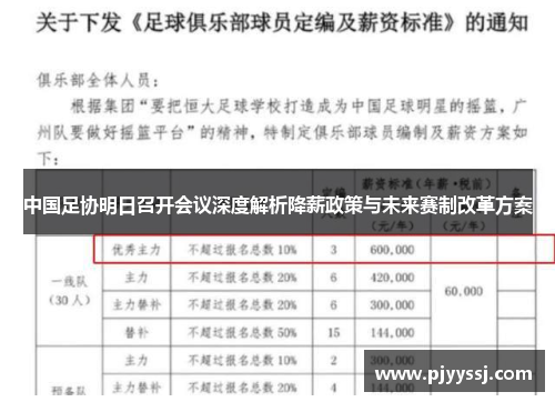 中国足协明日召开会议深度解析降薪政策与未来赛制改革方案