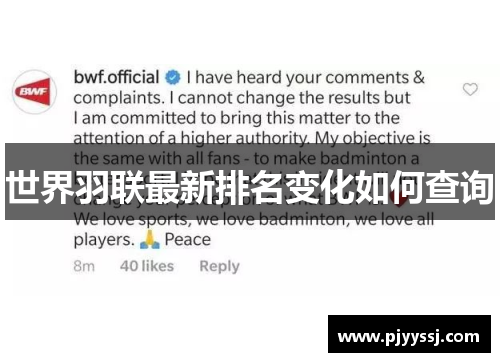 世界羽联最新排名变化如何查询
