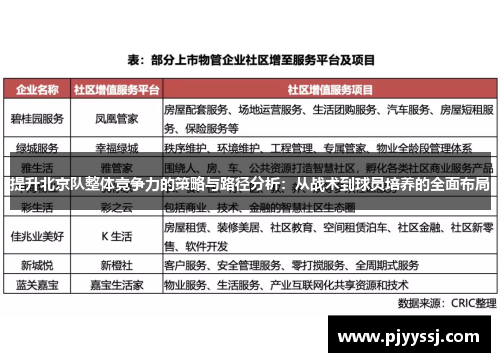 提升北京队整体竞争力的策略与路径分析：从战术到球员培养的全面布局