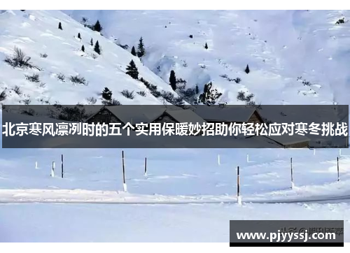 北京寒风凛冽时的五个实用保暖妙招助你轻松应对寒冬挑战