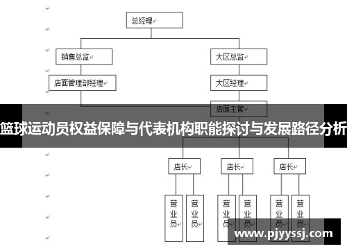 篮球运动员权益保障与代表机构职能探讨与发展路径分析